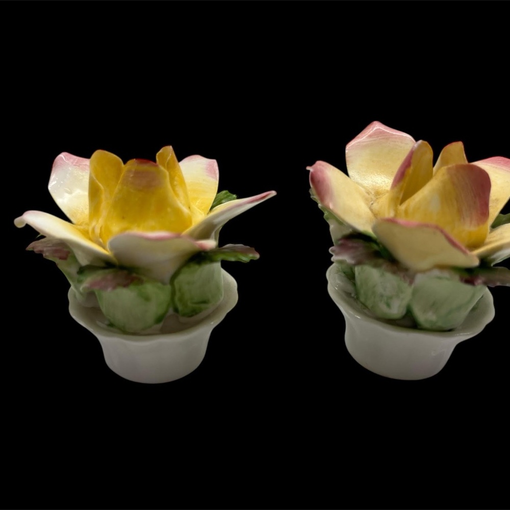 Vintage Royal Adderley Hand Painted Bone China Rose Flower Salt & Pepper Shakers